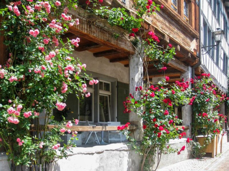 From Zurich: Bus Day Trip to Heidiland and Liechtenstein - Visiting Vaduz, the Capital