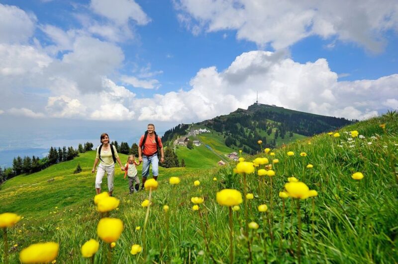 From Zurich: Day Trip to Rigi and Lake Lucerne - Free Time at Rigi Kulm