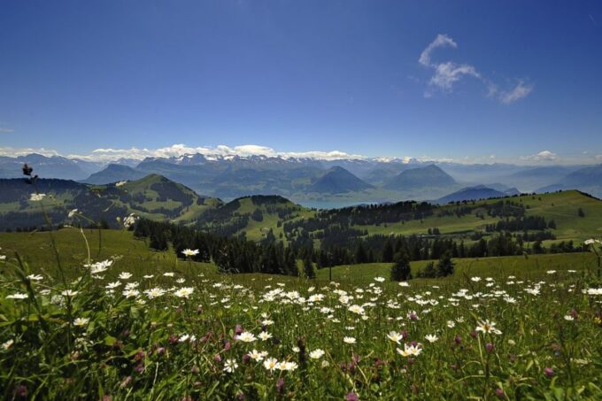 From Zurich: Day Trip to Rigi and Lake Lucerne - Boat Cruise on Lake Lucerne