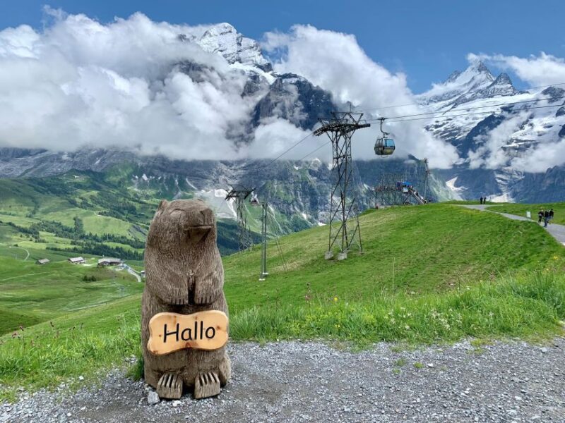 From Zurich: Grindelwald and First Cliff Walk Day Trip - Scenic Swiss Alps