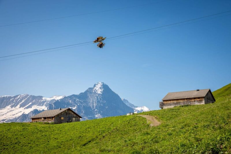 From Zurich: Grindelwald First Cable Car & Interlaken - Visiting Interlaken