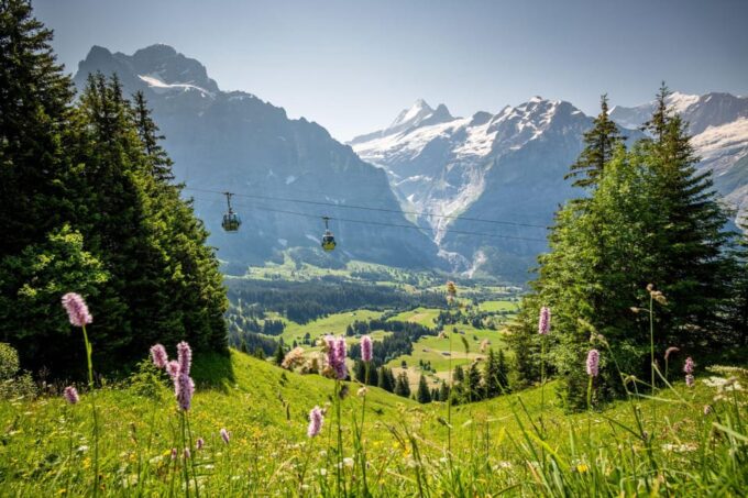 From Zurich: Grindelwald First Cable Car & Interlaken - Transportation and Guidance