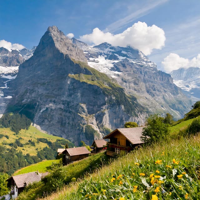 From Zurich: Interlaken and Grindelwald Private Day Tour - Transportation and Guide Services