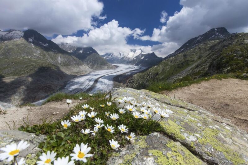 From Zurich: Jungfraujoch Guided Day Tour With Cogway Train - Inclusions