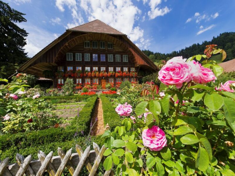From Zurich/Lucerne: Berne Capital and Countryside Day-Trip - Included in the Tour