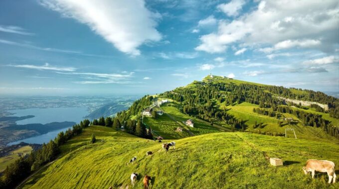 From Zurich: Mount Rigi and Lucerne Small-Group Day Trip - What to Expect on the Day Trip