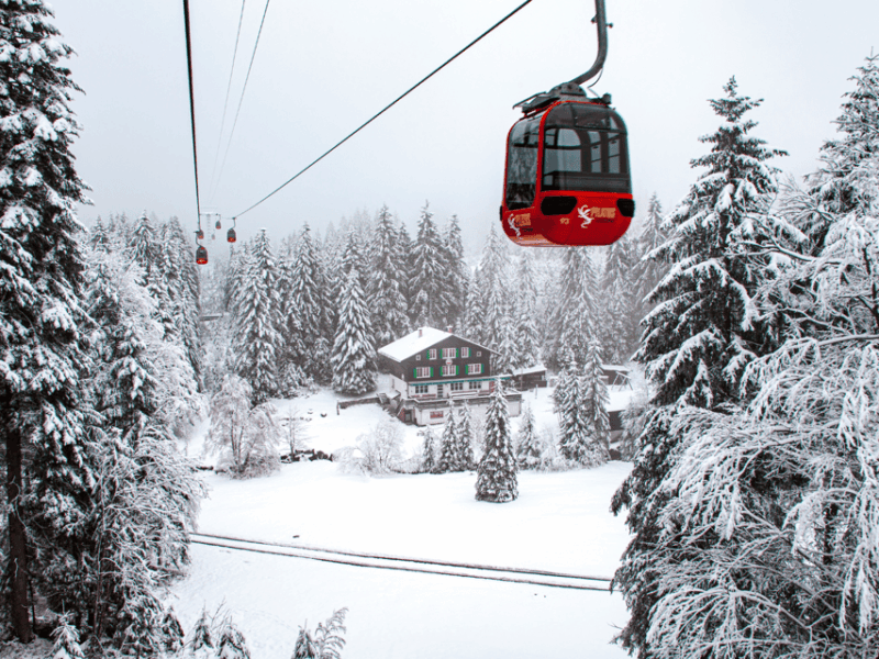 From Zurich: Pilatus & Lucerne With Cruise Private Day Trip - Transportation and Accessibility