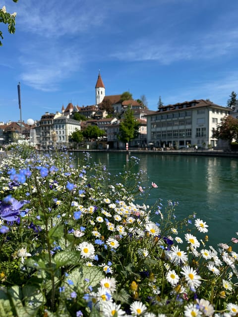 From Zurich Private Day Tour to Lauterbrunen by Car - Transportation Details