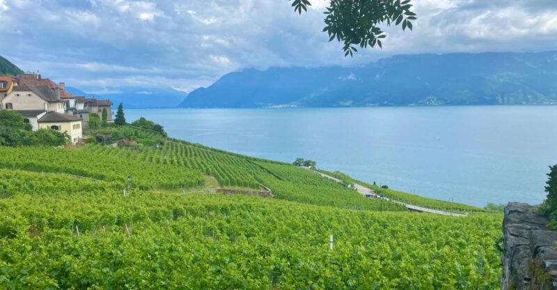 From Zurich: Private Day Trip to Gruyères & Lavaux Vineyard - Itinerary