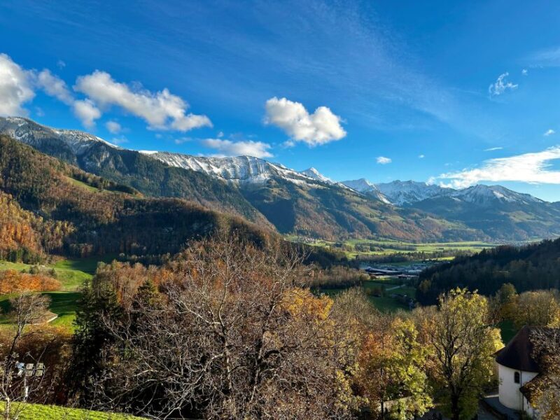 From Zurich: Private Day Trip to Gruyères & Lavaux Vineyard - Medieval Village Exploration