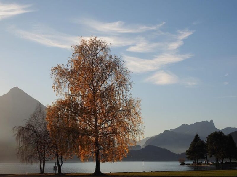 From Zurich: Private Interlaken and Grindelwald Car Tour - Contact for Inquiries