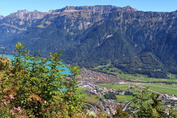 From Zurich: Private Interlaken and Grindelwald Car Tour - Frequently Asked Questions