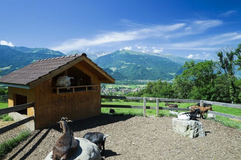 From Zurich: Private Trip to Liechtenstein and Heidiland - Vaduz, Liechtenstein