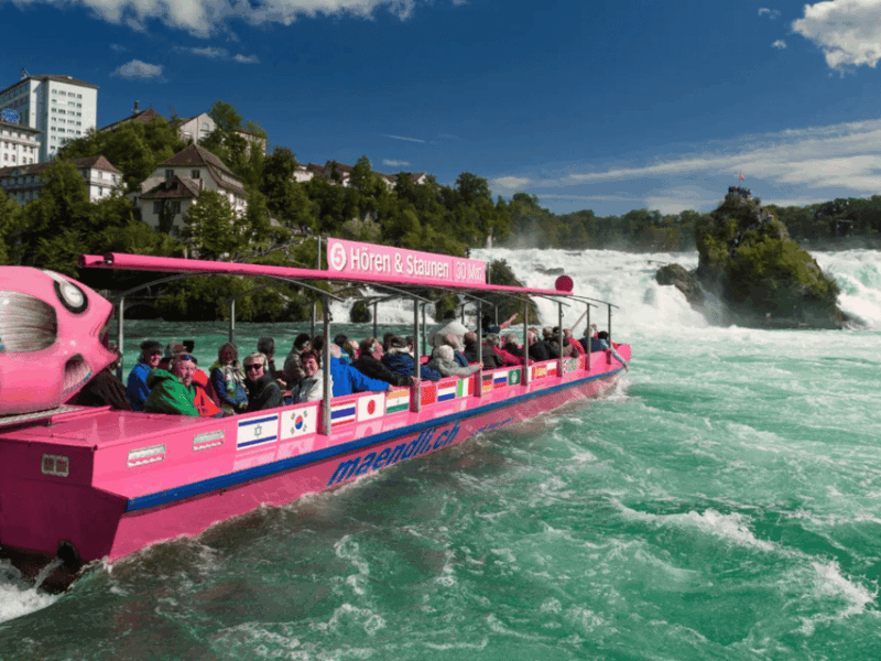 From Zurich: Rhine Falls & Stein Am Rhein Private Day Trip - Key Points