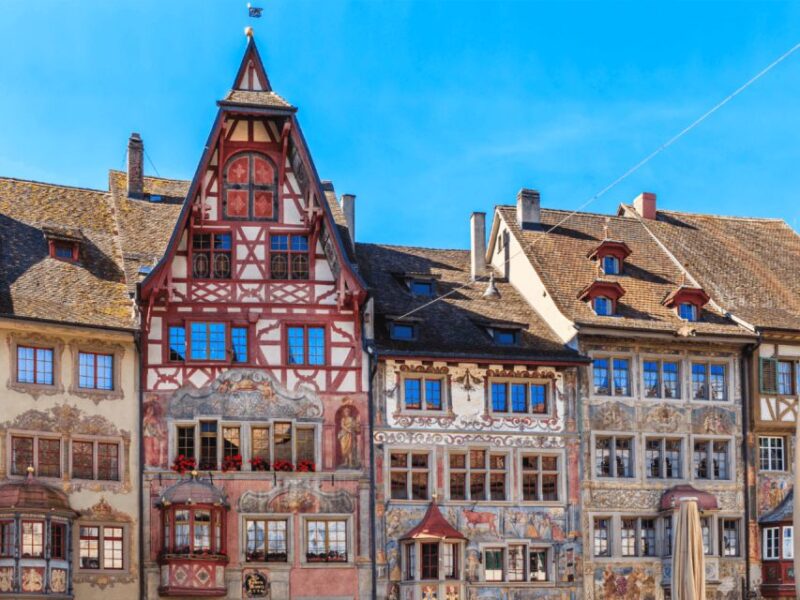 From Zurich: Rhine Falls & Stein Am Rhein Private Day Trip - Inclusions
