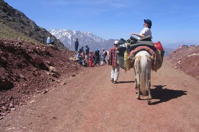 Frome Marrakech: Atlas Mountains Day Trip & Waterfull Tour - Highlights of the Atlas Mountains