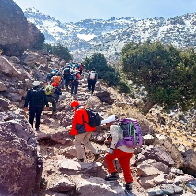 Frome Marrakech: Atlas Mountains Day Trip & Waterfull Tour - Booking Information