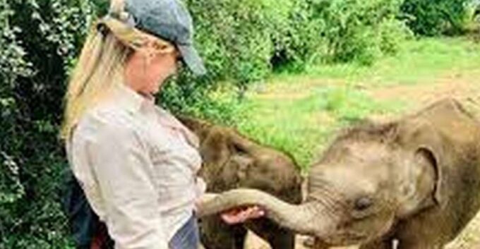 From:Galle/Mirissa Transfer to Ella With Udawalawe Safari - Savings and Refund Policy