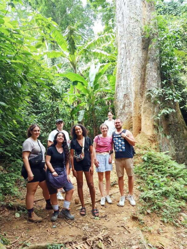 FromNinh Binh: Cuc Phuong-Van Long-Jeep Tours - Small Groups - Cuc Phuong National Park Activities