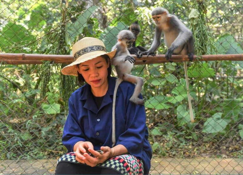 FromNinh Binh: Cuc Phuong-Van Long-Jeep Tours - Small Groups - Jeep Tour Details