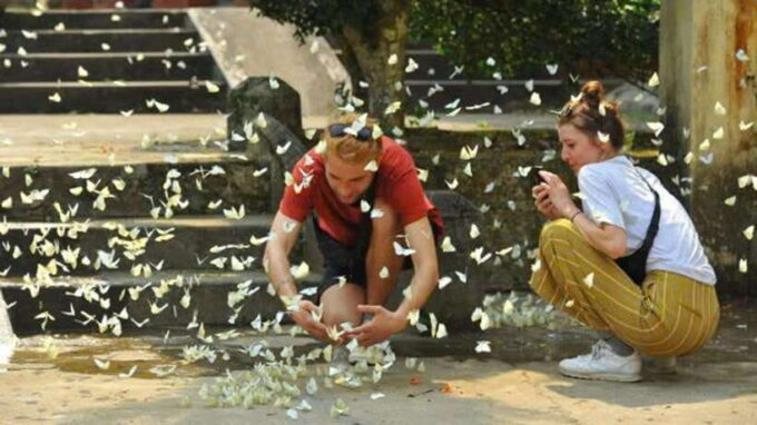 FromNinh Binh: Cuc Phuong-Van Long-Jeep Tours - Small Groups - Since You Asked