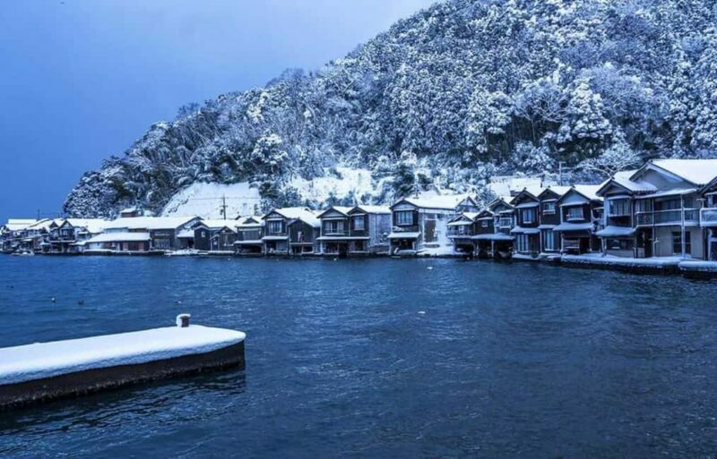 FromOsaka/Kyoto:Hiroshima & Miyajima Private Tour with Lunch - An In-Depth Look at the Tour Experience