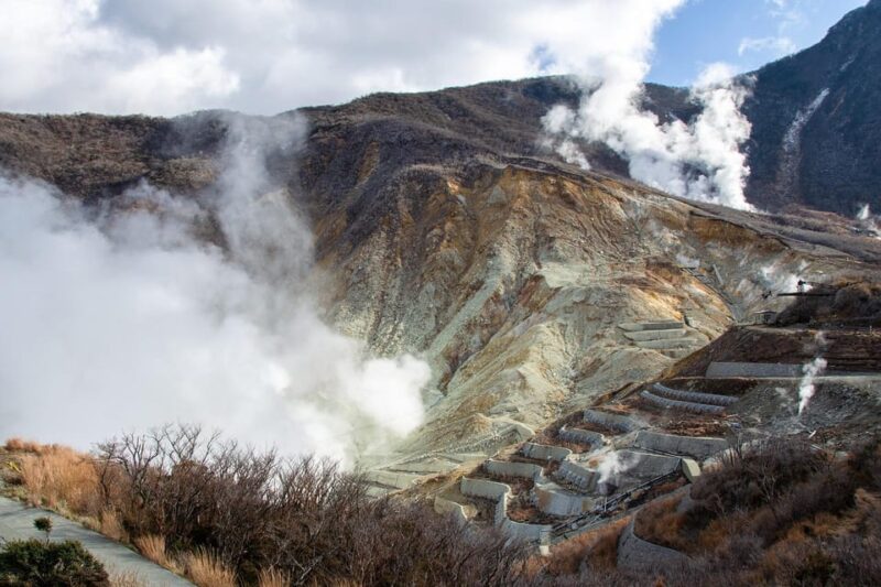FromTokyo: Hakone & Lake Ashi Private Chartered Day Trip - Nature, Culture, History