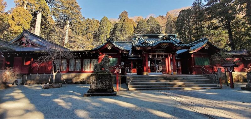 FromTokyo: Hakone & Lake Ashi Private Chartered Day Trip - Outdoor Activities
