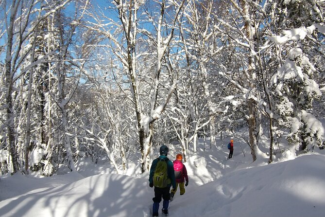 Frozen Fall Trekking - Booking and Cancellation Policy