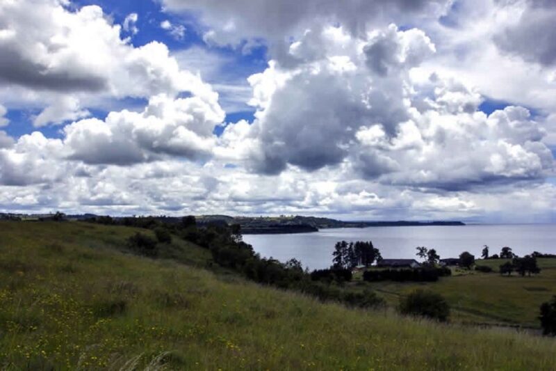 Frutillar Tour - Traveler Reviews and Ratings