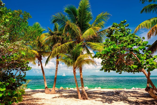 Ft Lauderdale to Key West With Optional Activities - Glass-Bottom Boat Ride