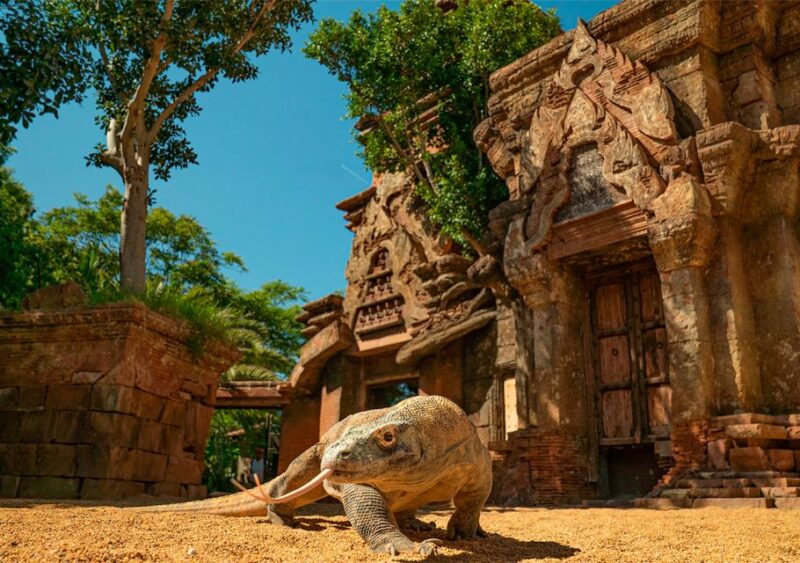 Fuengirola: Bioparc Entrance Ticket - Educational Commentary and Shows