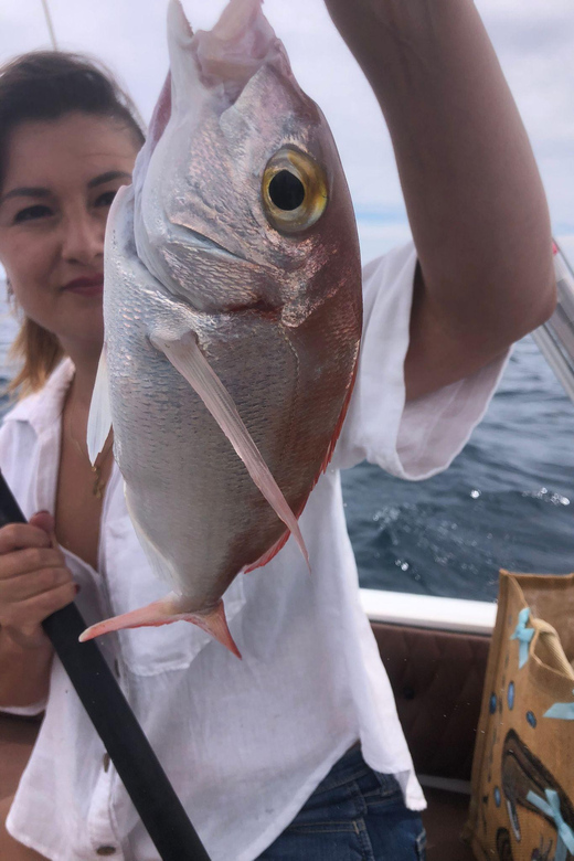 Fuengirola: Bottom Fishing Trip With Drinks & Equipment - Fishing Spots and Wildlife