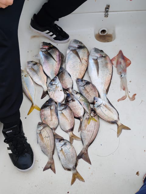 Fuengirola: Bottom Fishing With Jigging and Squid, 2, 4 and 6 Hours - FAQ