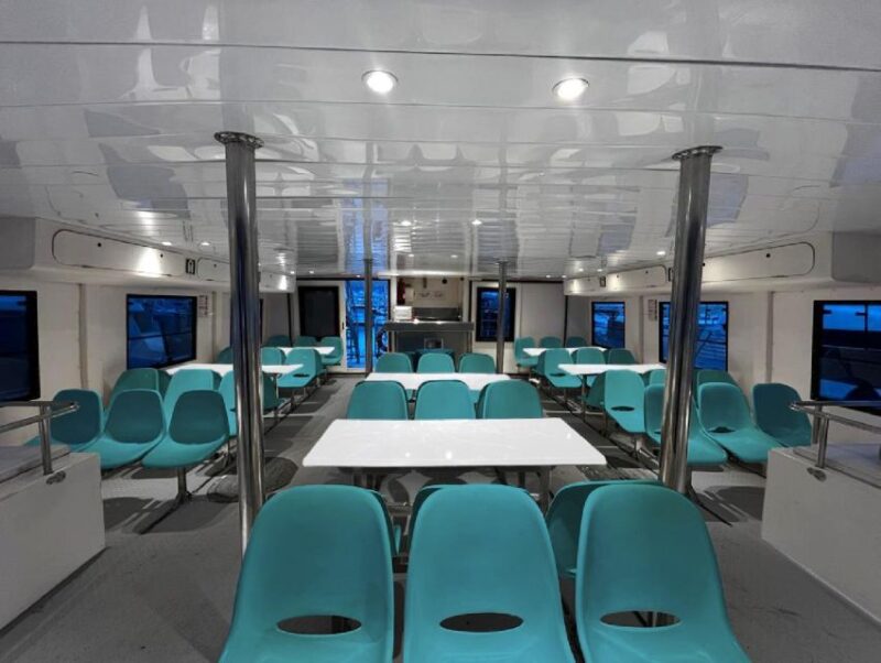 Fuengirola: Catamaran Tour to Spot Dolphins - Key Points
