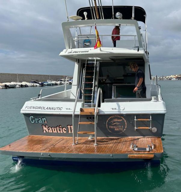 Fuengirola: Dolphin Spotting Tour - Onboard Experience