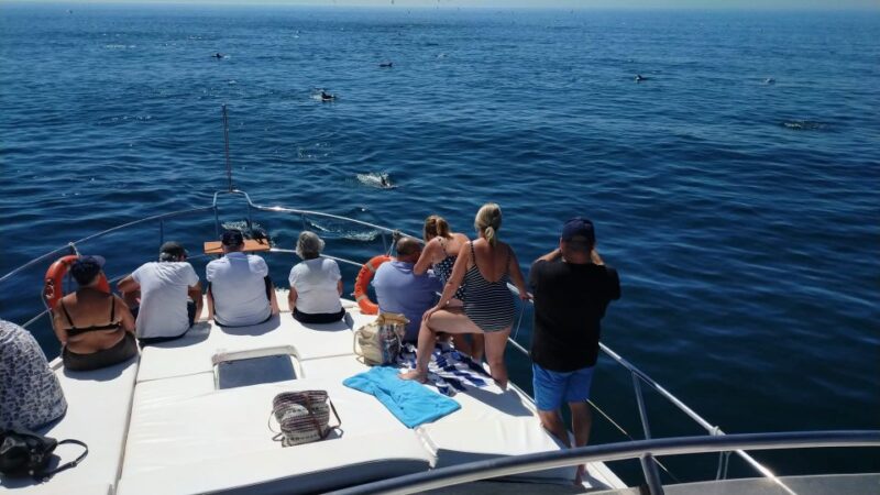 Fuengirola: Dolphin Spotting Yacht Tour With Drinks & Snacks - Itinerary Details