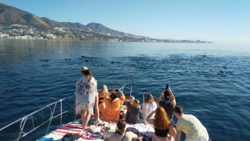 Fuengirola: Dolphin Spotting Yacht Tour With Drinks & Snacks - Important Information