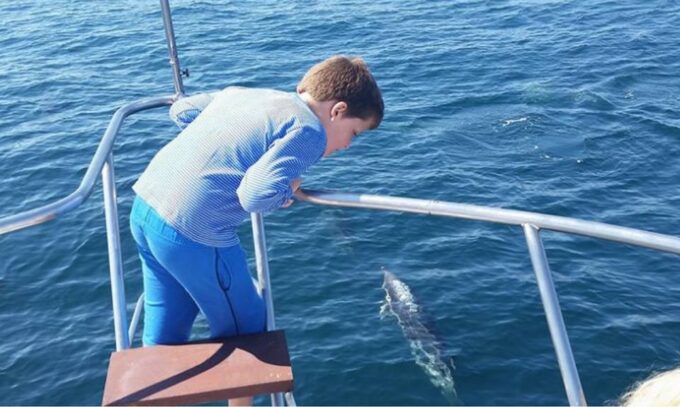 Fuengirola: Dolphin Spotting Yacht Tour With Drinks & Snacks - Frequently Asked Questions
