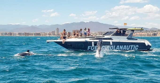 Fuengirola: Dolphin Watching by Yacht With Snacks and Drinks - Frequently Asked Questions