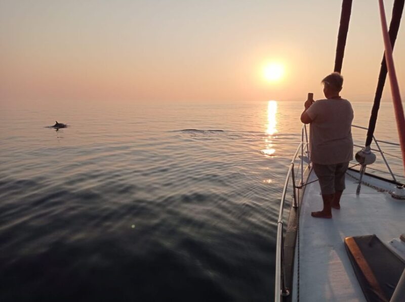 Fuengirola: Dolphin-Watching Sailing Tour With Drinks - Key Points