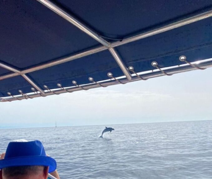 Fuengirola: Fantastic Dolphin Watching Yacht Tour - Frequently Asked Questions