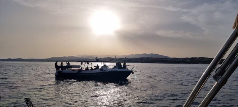 Fuengirola: Fantastic Dolphin Watching Yacht Tour With Drink - Boat and Accessibility