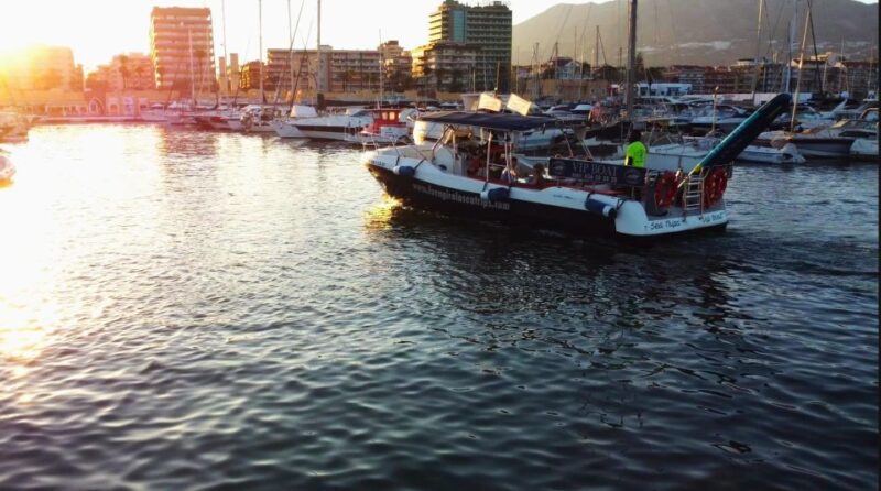 Fuengirola: Fantastic Dolphin Watching Yacht Tour With Drink - Customer Reviews and Ratings