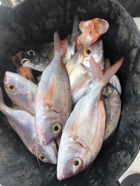 Fuengirola Fishing Trip - Important Details