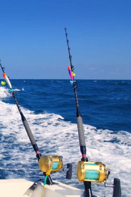 Fuengirola Fishing Trip - What to Expect