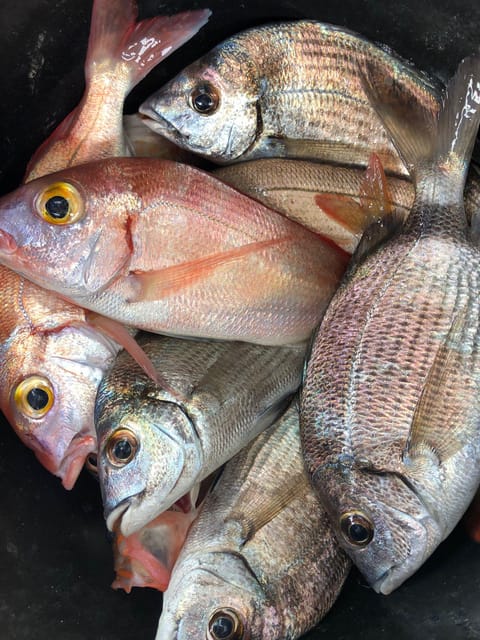 Fuengirola Fishing Trip - Getting to the Harbor