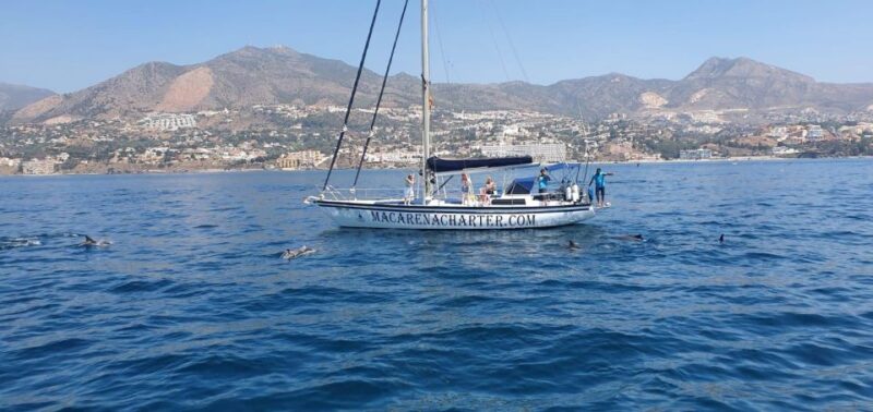 Fuengirola: Sailing Excursion to Spot Dolphins With Drinks. - Key Points
