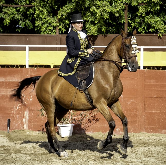 Fuengirola: Spanish Horse Show With Optional Dinner/Flamenco - Inclusions and Exclusions
