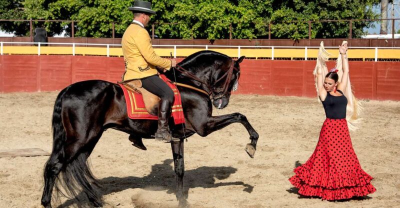 Fuengirola: Spanish Horse Show With Optional Dinner/Flamenco - Transportation Options